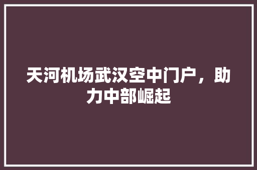 天河机场武汉空中门户，助力中部崛起