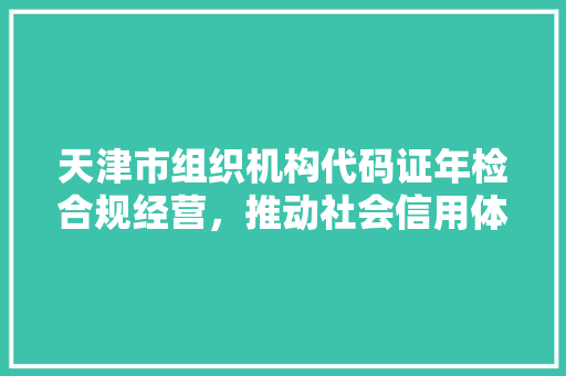 天津市组织机构代码证年检合规经营，推动社会信用体系建设