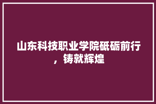 山东科技职业学院砥砺前行，铸就辉煌
