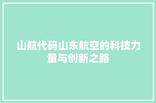 山航代码山东航空的科技力量与创新之路