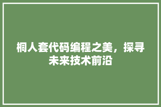 桐人套代码编程之美，探寻未来技术前沿