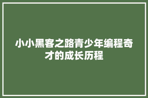 小小黑客之路青少年编程奇才的成长历程