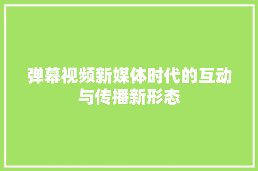 弹幕视频新媒体时代的互动与传播新形态
