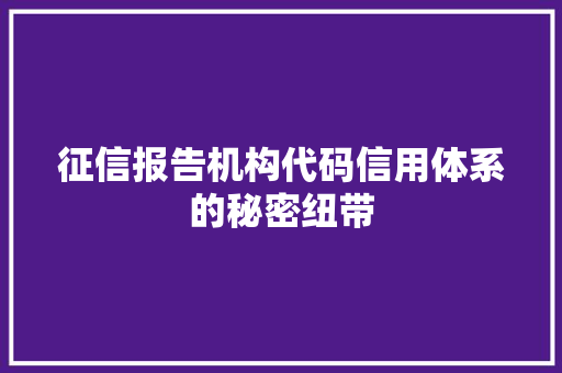 征信报告机构代码信用体系的秘密纽带