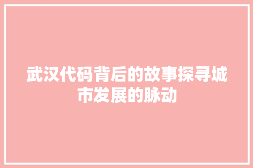 武汉代码背后的故事探寻城市发展的脉动