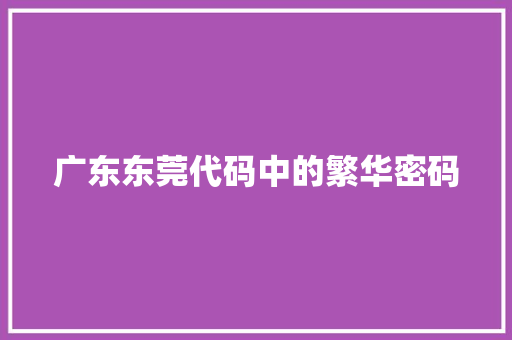 广东东莞代码中的繁华密码