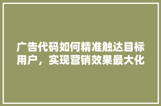 广告代码如何精准触达目标用户，实现营销效果最大化