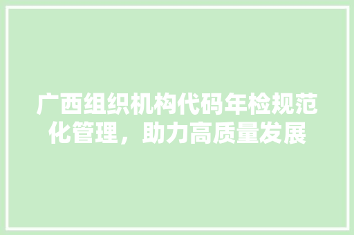 广西组织机构代码年检规范化管理，助力高质量发展