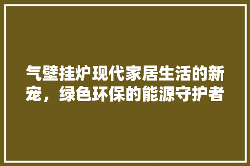 气壁挂炉现代家居生活的新宠，绿色环保的能源守护者