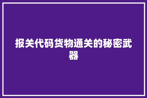 报关代码货物通关的秘密武器