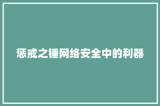 惩戒之锤网络安全中的利器  第1张