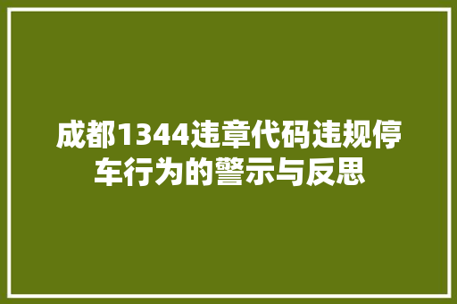 成都1344违章代码违规停车行为的警示与反思