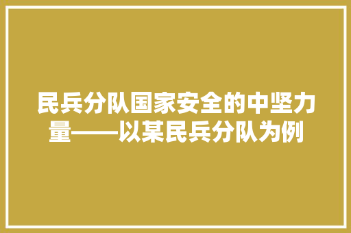 民兵分队国家安全的中坚力量——以某民兵分队为例