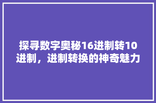 探寻数字奥秘16进制转10进制，进制转换的神奇魅力