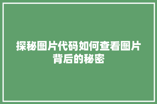 探秘图片代码如何查看图片背后的秘密  第1张