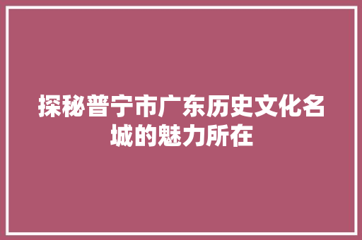 探秘普宁市广东历史文化名城的魅力所在