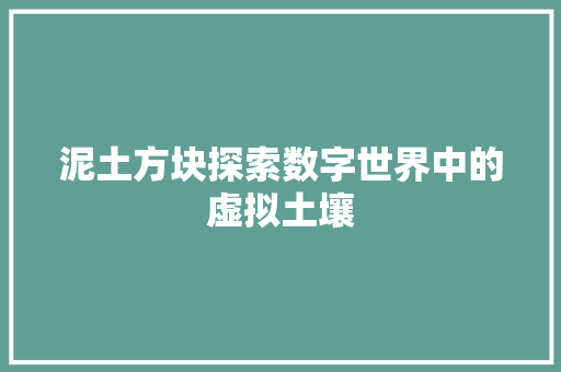 泥土方块探索数字世界中的虚拟土壤