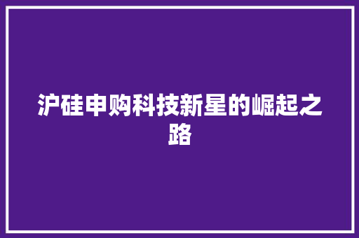 沪硅申购科技新星的崛起之路
