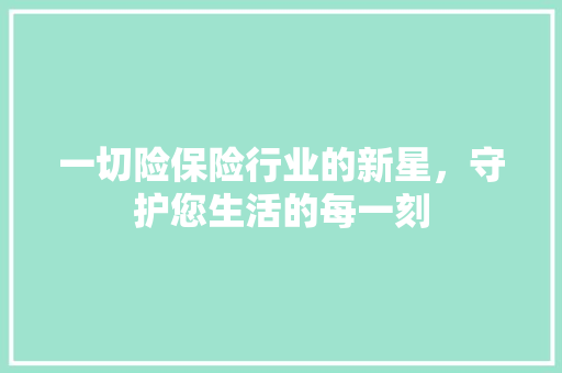 一切险保险行业的新星，守护您生活的每一刻