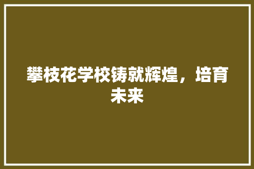 攀枝花学校铸就辉煌，培育未来