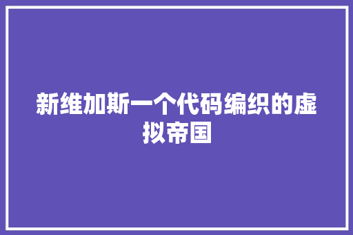 新维加斯一个代码编织的虚拟帝国
