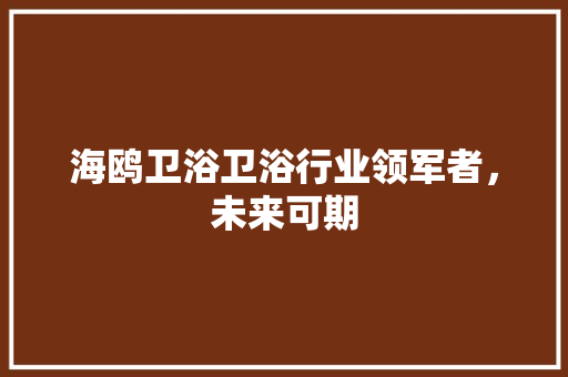海鸥卫浴卫浴行业领军者，未来可期