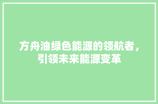 方舟油绿色能源的领航者，引领未来能源变革