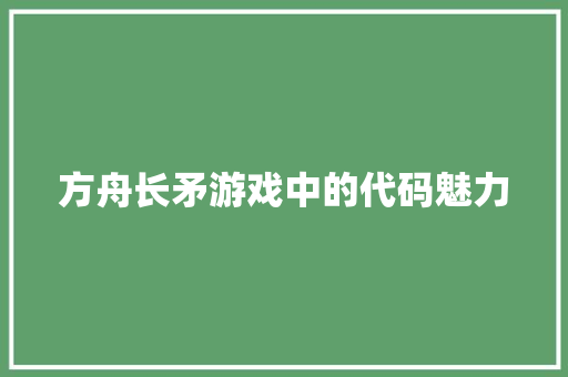 方舟长矛游戏中的代码魅力
