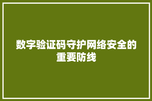 数字验证码守护网络安全的重要防线