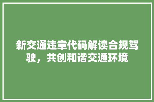 新交通违章代码解读合规驾驶，共创和谐交通环境