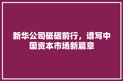 新华公司砥砺前行，谱写中国资本市场新篇章