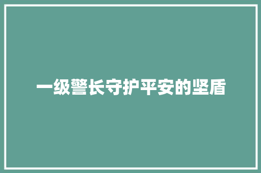 一级警长守护平安的坚盾