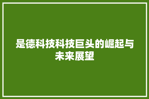 是德科技科技巨头的崛起与未来展望