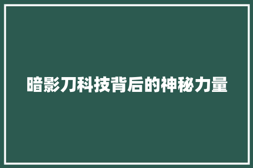 暗影刀科技背后的神秘力量