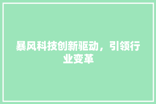 暴风科技创新驱动，引领行业变革