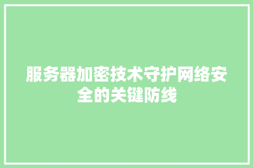 服务器加密技术守护网络安全的关键防线