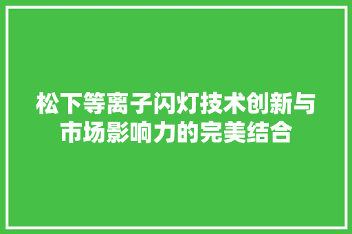 松下等离子闪灯技术创新与市场影响力的完美结合