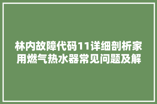 林内故障代码11详细剖析家用燃气热水器常见问题及解决步骤