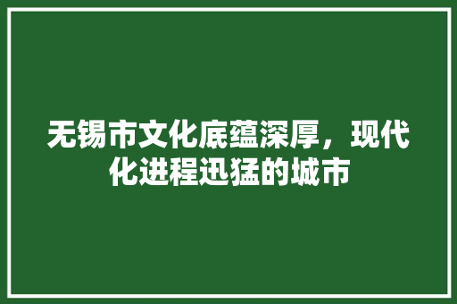 无锡市文化底蕴深厚，现代化进程迅猛的城市