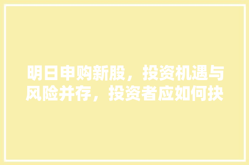 明日申购新股，投资机遇与风险并存，投资者应如何抉择