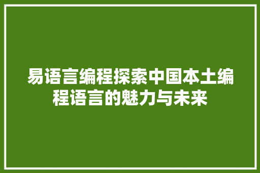 易语言编程探索中国本土编程语言的魅力与未来