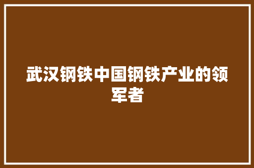 武汉钢铁中国钢铁产业的领军者