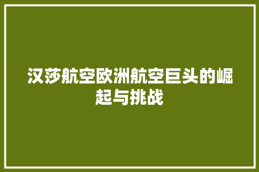 汉莎航空欧洲航空巨头的崛起与挑战