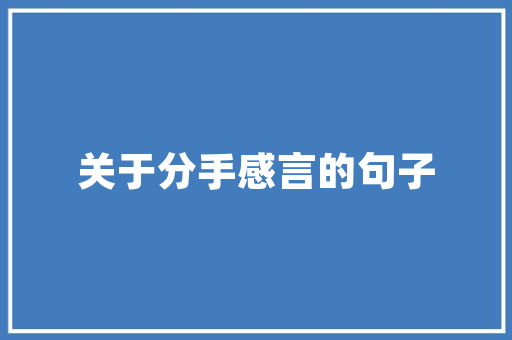 江苏填报志愿专业代码精准选择，开启人生新篇章