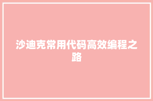 沙迪克常用代码高效编程之路
