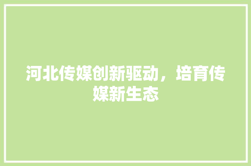 河北传媒创新驱动，培育传媒新生态