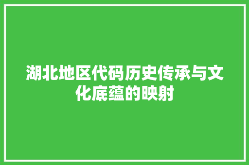湖北地区代码历史传承与文化底蕴的映射