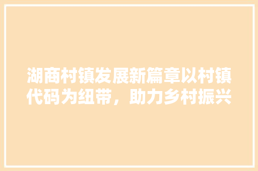 湖商村镇发展新篇章以村镇代码为纽带，助力乡村振兴