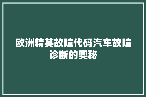欧洲精英故障代码汽车故障诊断的奥秘