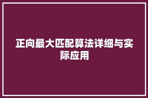 正向最大匹配算法详细与实际应用